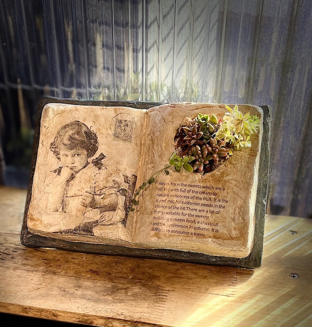 開いた本の形のモルタル作品。片側に多肉植物を植えた完成例