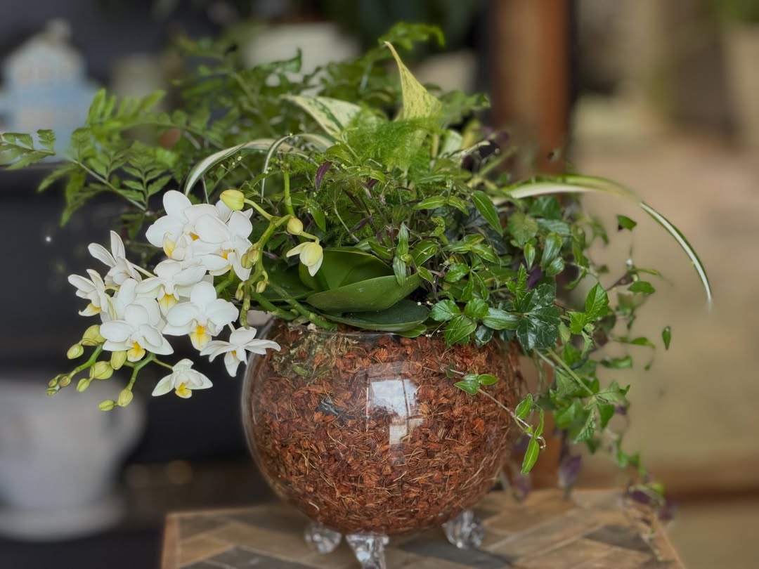 6月のレッスンで参加者が制作した、白い花と観葉植物のガラス寄植え
